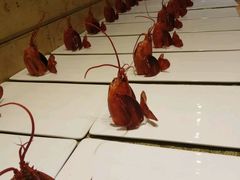 -东方之珠海鲜酒楼(南开店)