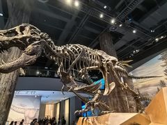 -浙江自然博物院(杭州馆)
