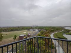 -春花秋色城市公园