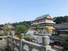 -铁山坪森林公园