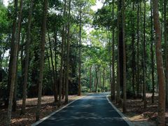 -中国科学院西双版纳热带植物园