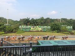 -深圳野生动物园
