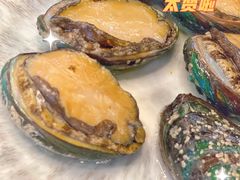 鲍鱼-圣罗巴海鲜自助(黑金店)
