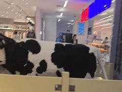 -红星前进面包牛奶公司(君太店)