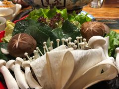 -额尔敦传统涮(公园西路店)