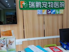 -瑞鹏宠物医院·夜间急症·心超·猫科(祖庙分店)