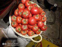 -蕃茄述·好汤自然来(江汉路店)