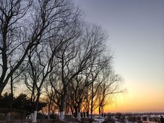 -丁香湖公园