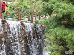 -王顺山国家森林公园