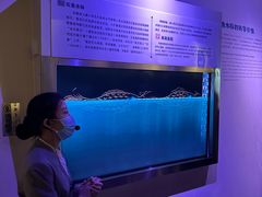 -白鹤梁水下博物馆