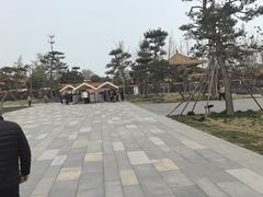 -神州牡丹园