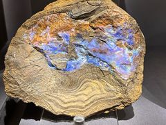 -湖南省地质博物馆