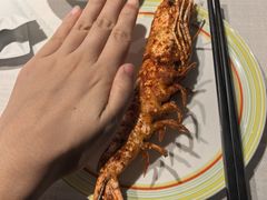 -开海·红岛海鲜虾水饺(石老人店)