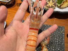 -月龍吟(朝龙汇店)