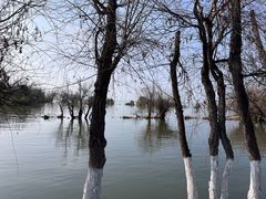 -捞渔河湿地公园