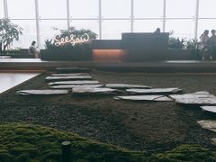 -Seesaw Coffee(朝阳大悦城店)