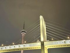 -澳门环岛游湾仔码头