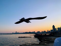 -星海广场