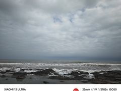 -盐洲岛