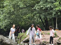 -重庆彩云湖湿地公园