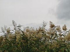 -水洞沟旅游区