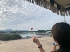 -石家庄市植物园