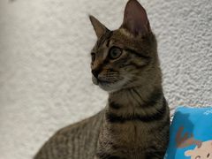 -ID.PHOTO照相馆(嘉里企业中心店)