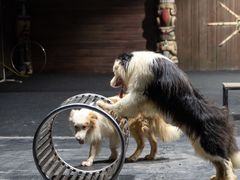 -汕头蓝水星欢乐世界