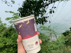 -茶颜悦色(岳麓山顶店)