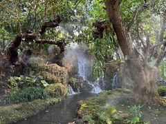 -Chom Cafe and Restaurant