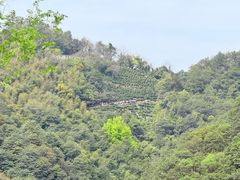 -西湖风景区十里琅珰-五云山