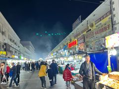 -布尔津河堤夜市