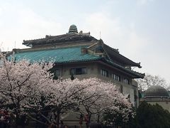 -武汉大学-樱园