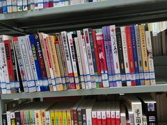 -武汉大学图书馆·文理学部总馆