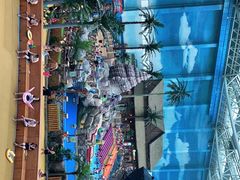 -青岛东方影都融创水世界