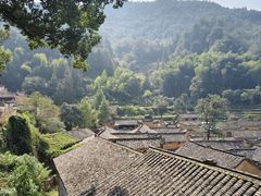 -杨家堂村
