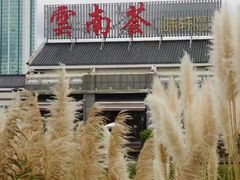 -云南荟·湖畔领宴(领事馆店)