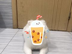 -瑞派名望24h动物医院异宠专科·猫专科·骨科·重症监护分院