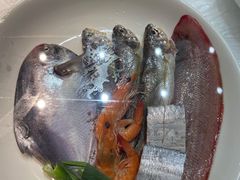 -高佳庄·舟山海鲜(海景旗舰店)