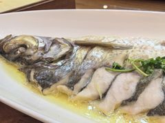-鲁宴·鲁煨黄河生态大鲤鱼(月坛店)