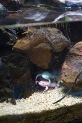 -酷嗒动物文化乐园(cutezoo西溪乐天城店)