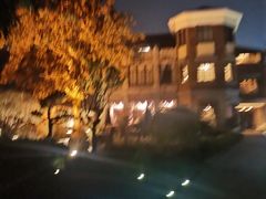 -大可堂普洱茶馆(襄阳南路馆)