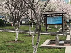 -西北湖绿化广场