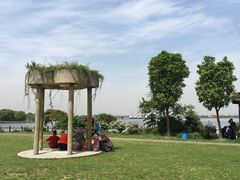 -鹅湖玫瑰文化园