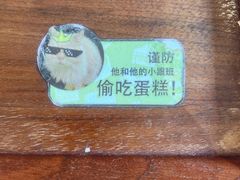 -有猫主题·治愈系猫咖(曾厝垵店)