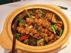 香菇啫清远走地鸡-火啫啫·粤式啫啫煲(南京弘阳店)