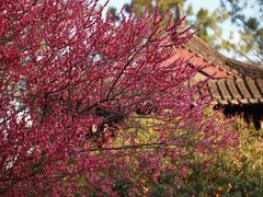-慧因高丽寺