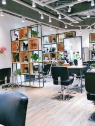 -Mentor Hair Salon