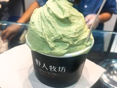 -野人先生现做冰淇淋(西安赛格店)