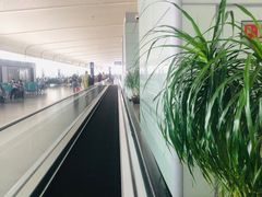 -合肥新桥国际机场-航站楼